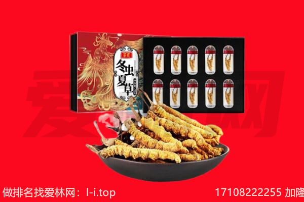 怒江贡山县回收虫草.jpg